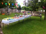 IMG_1342 (Small).JPG
